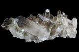 Dark Smoky Quartz Crystal Cluster - Brazil #124588-1